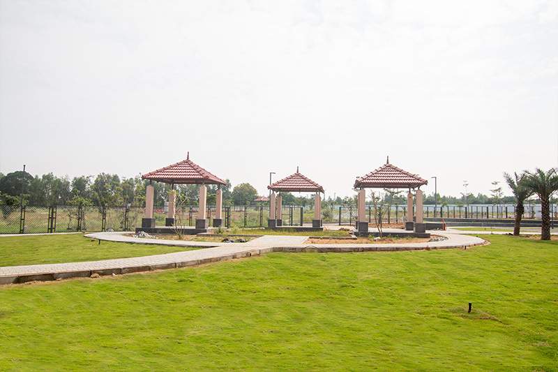  eco springs Landscape Garden and Tree Planting