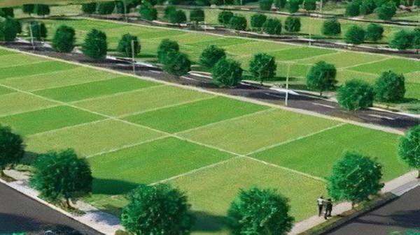  pearl-city Elevation