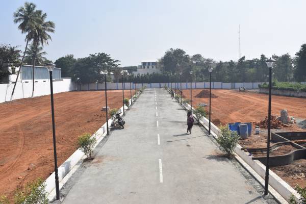 Plot joy-paradise Plot