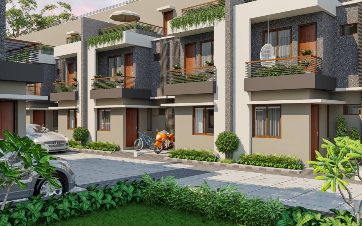  mars arise Elevation