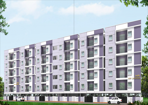  sun-lavender Elevation