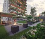 Others skygreens Others