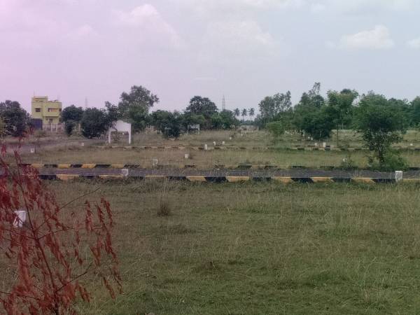  omr-golden-city Plot