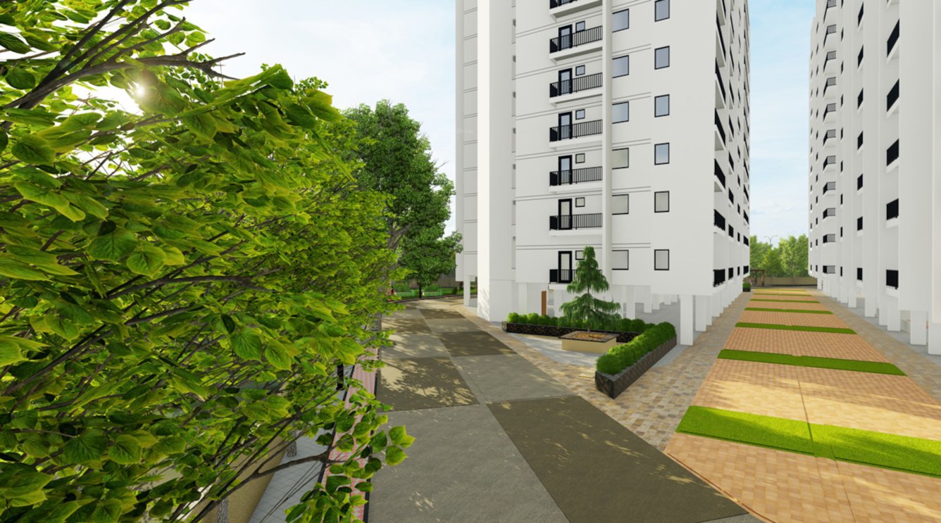  sanarelli Internal Roads