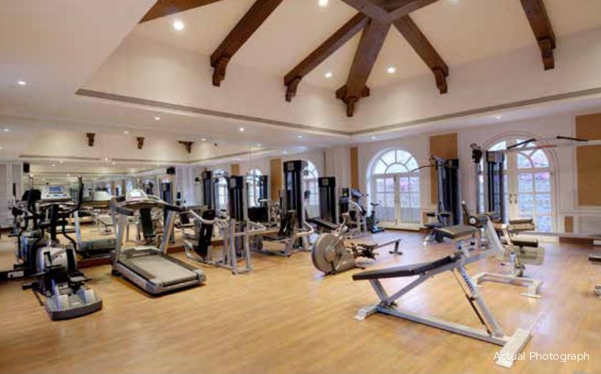  exotica siena Gymnasium