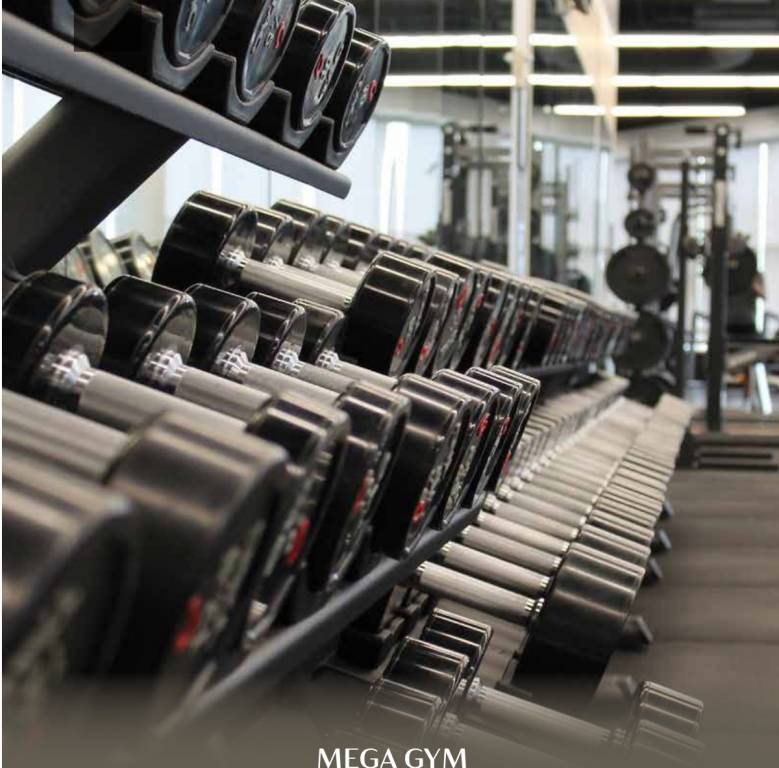  exotica siena Gymnasium