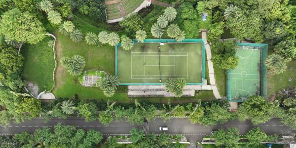  exotica-siena Others