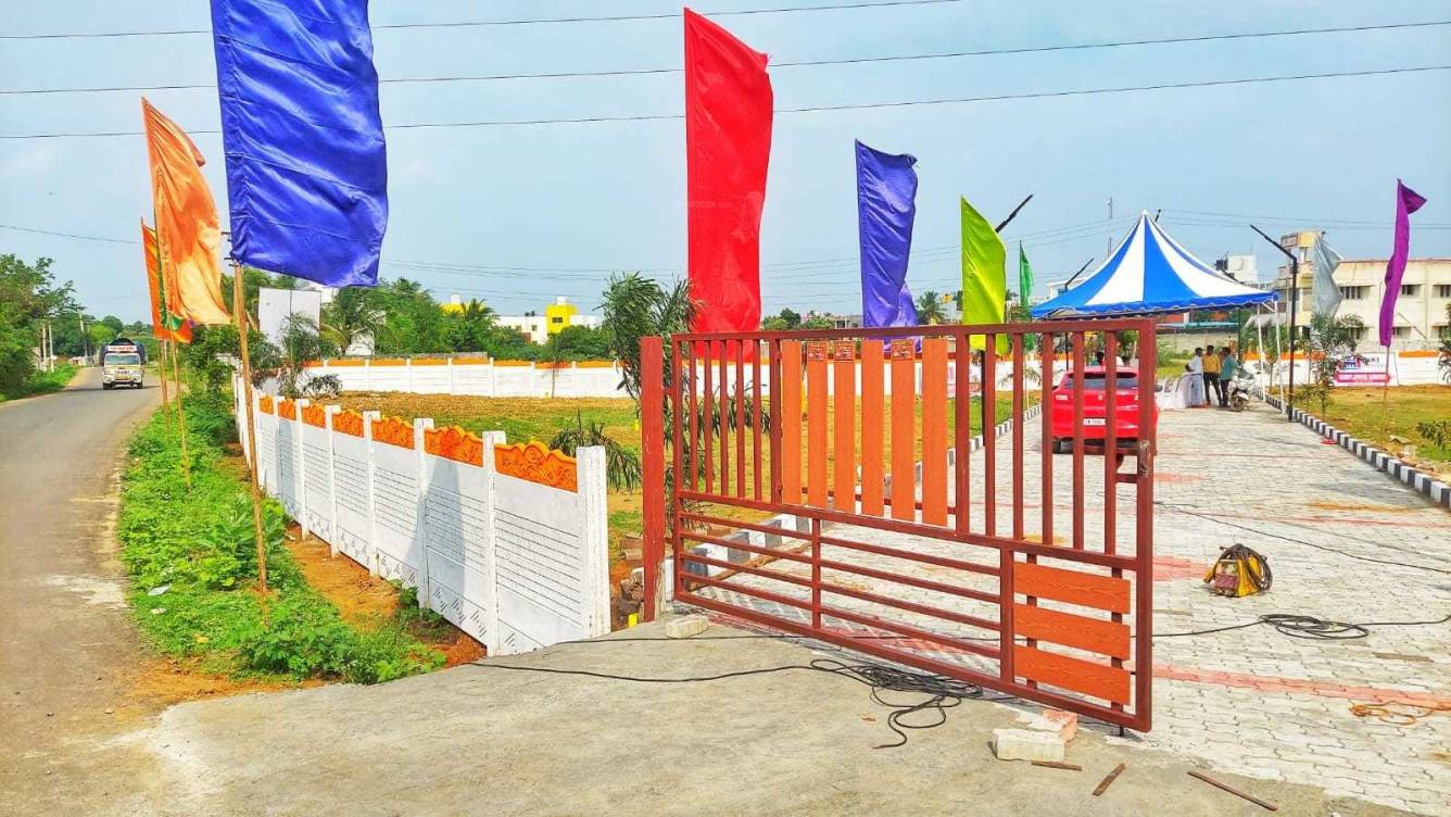  sunflower garden Elevation