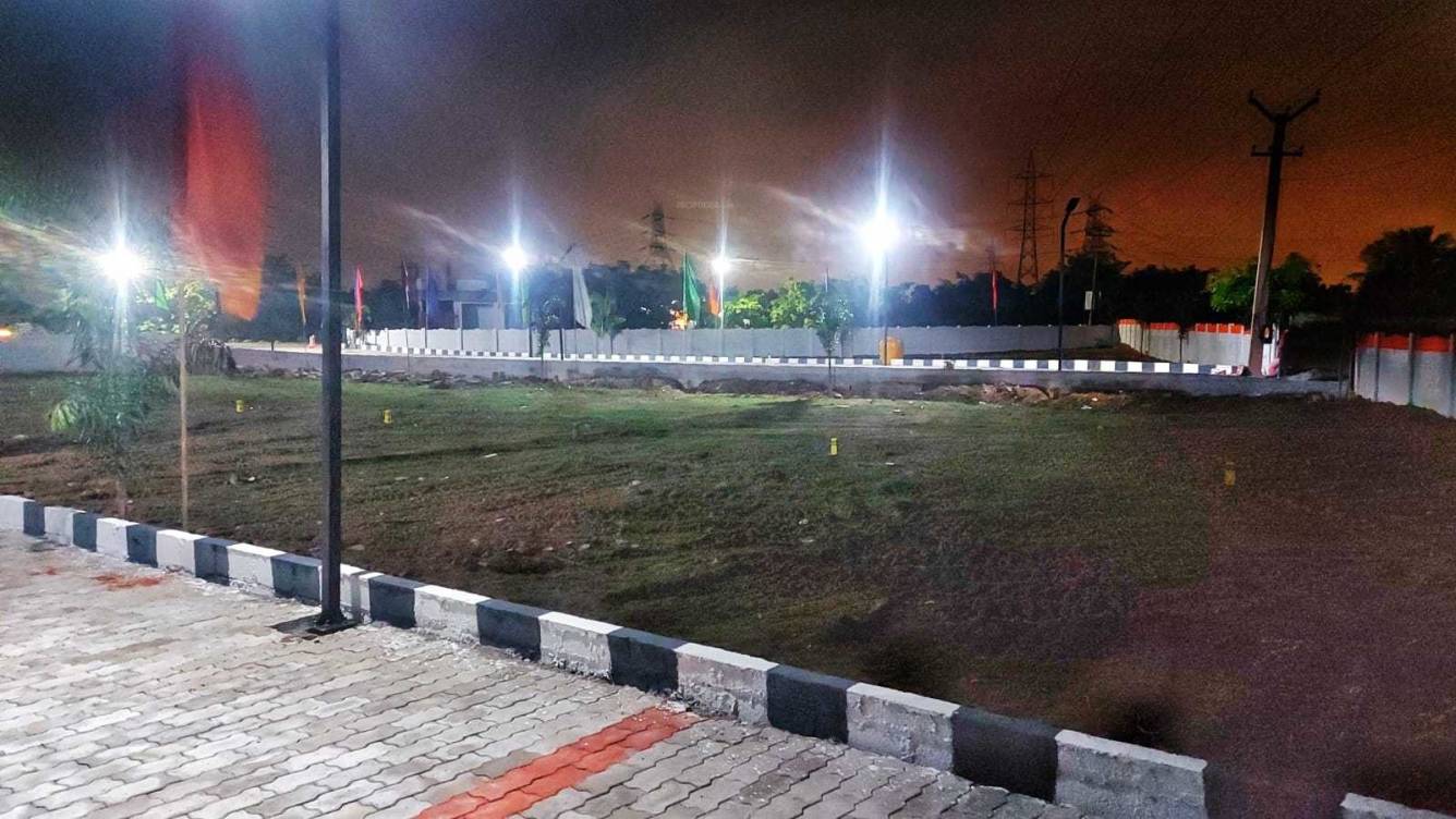  sunflower garden Elevation