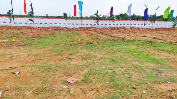 Elevation sunflower-garden Elevation