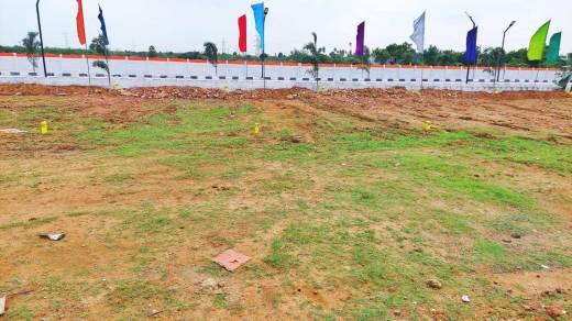 sunflower-garden Elevation Elevation