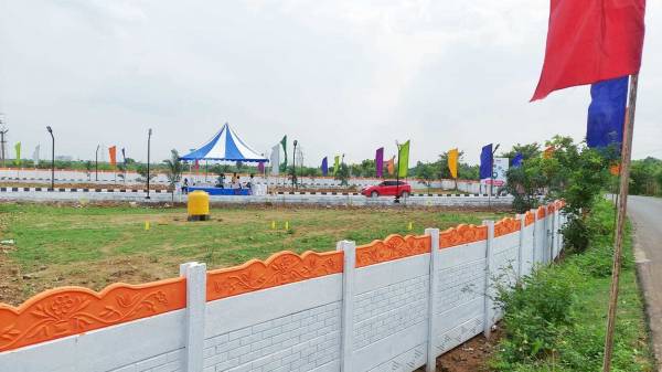  sunflower-garden Plot