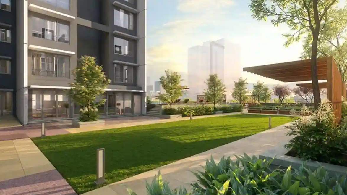  tsaaya Landscape Garden and Tree Planting