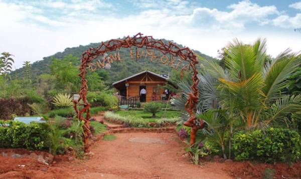 Elevation euphoria Elevation