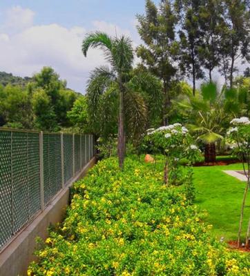  euphoria Landscape Garden and Tree Planting