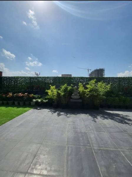  cbs-luxury-floor Others