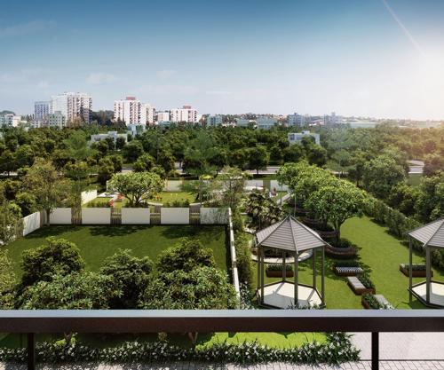  majestic Landscape Garden and Tree Planting