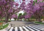 Internal Roads & Footpaths  orchards Internal Roads & Footpaths