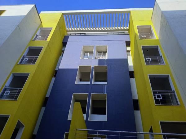  pelican-royal-town Elevation