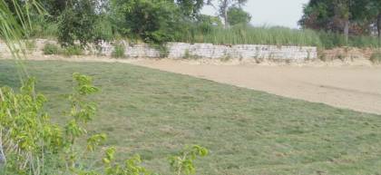 Elevation royal-city-farms Elevation