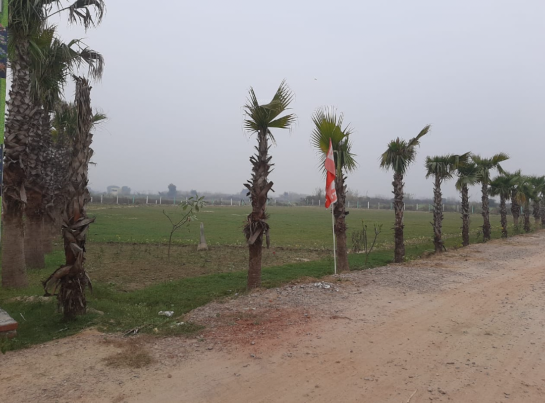  royal-city-farms Plot