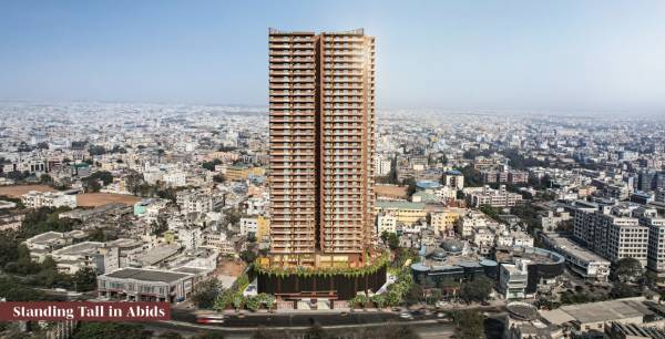 Elevation elysia Elevation