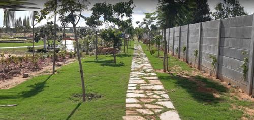  eden-144-phase-2 Landscape Garden and Tree Planting