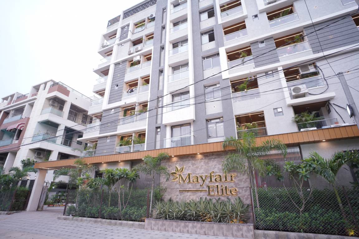  mayfair elite Elevation