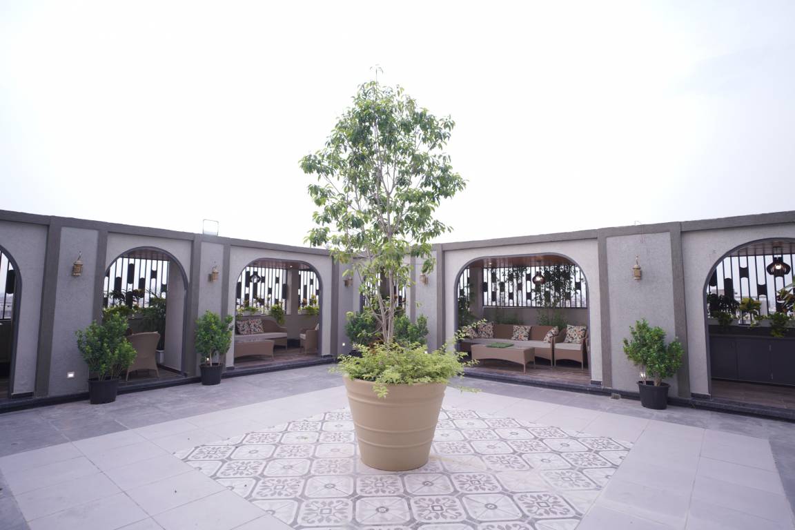  mayfair elite Others