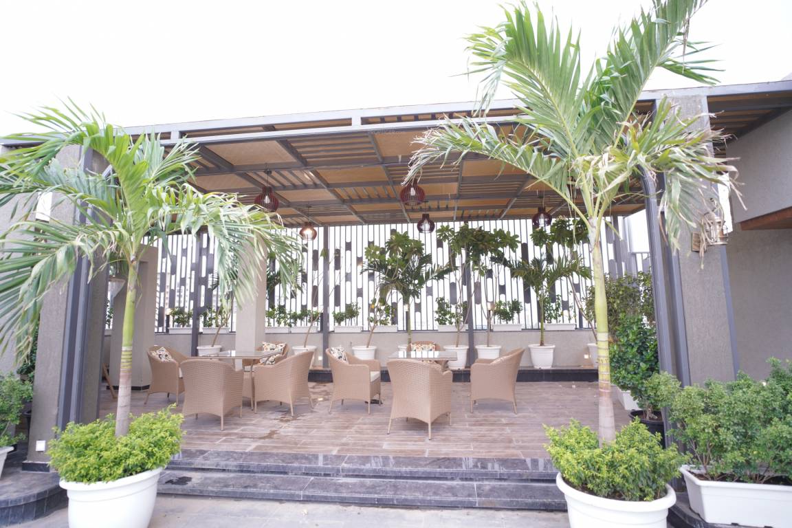  mayfair elite Others