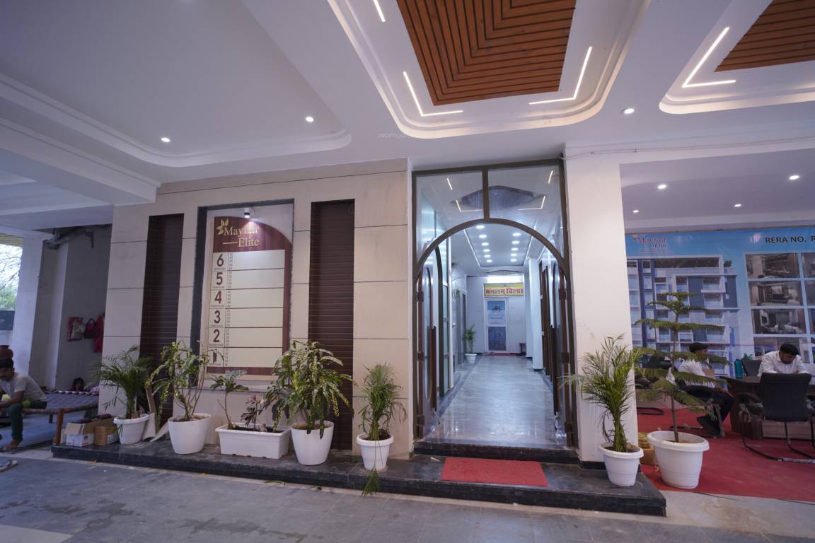  mayfair elite Others