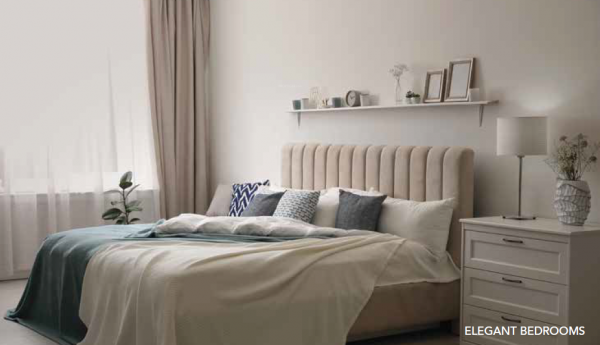 mainOther of Dream Olympia