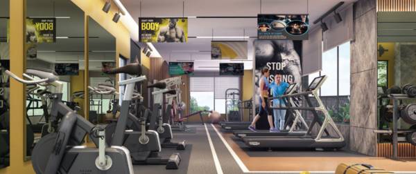 Gymnasium prime Gymnasium