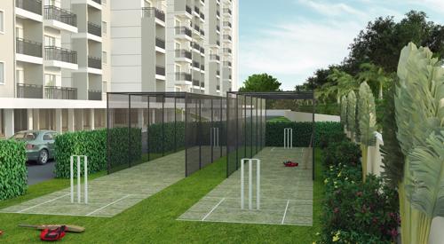  sai-green-woods Cricket arena