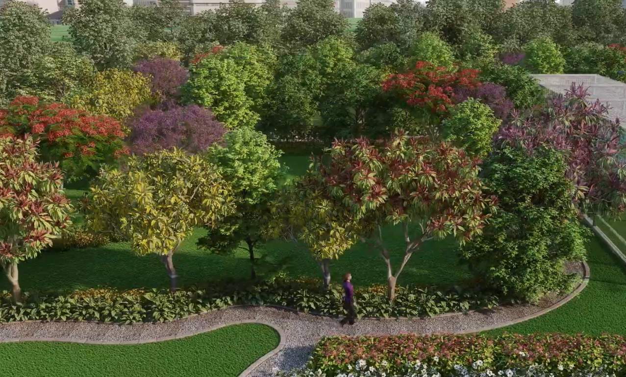  purva zenium 2 Landscape Garden and Tree Planting