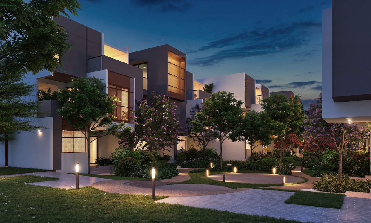  encore in the shire Elevation