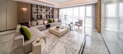  purva-meraki Living Area