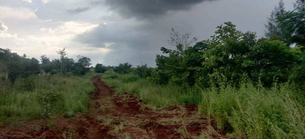  harmony Internal Roads