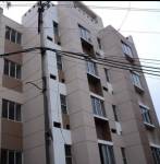  lemon-tree Elevation