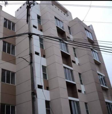  lemon-tree Elevation