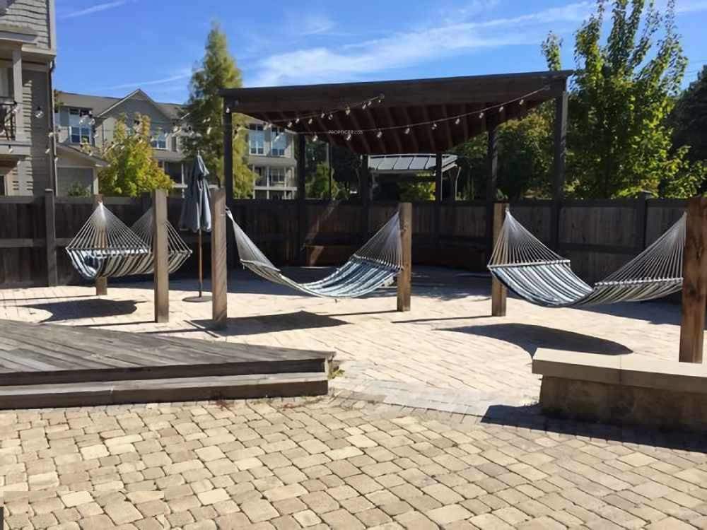  titan Senior Citizen Sitout