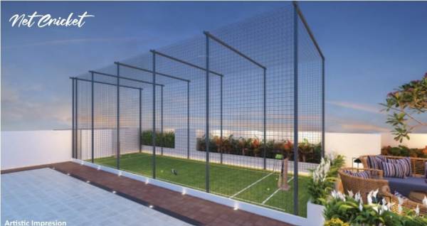  marvel Cricket Pitch