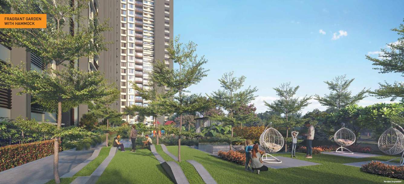  que 914 Landscape Garden and Tree Planting