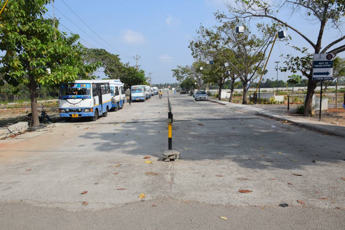  bliss in the town Plot