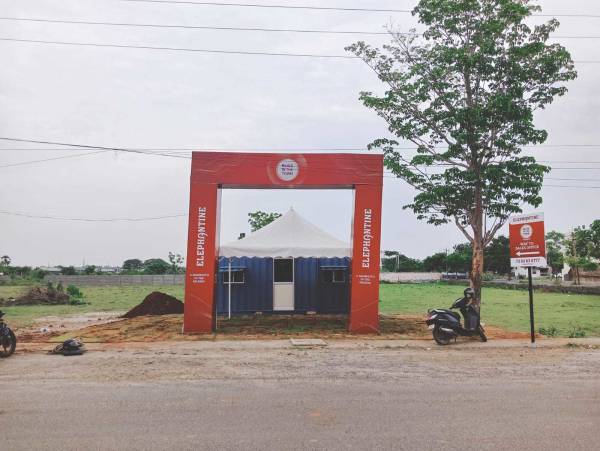  bliss-in-the-town Plot