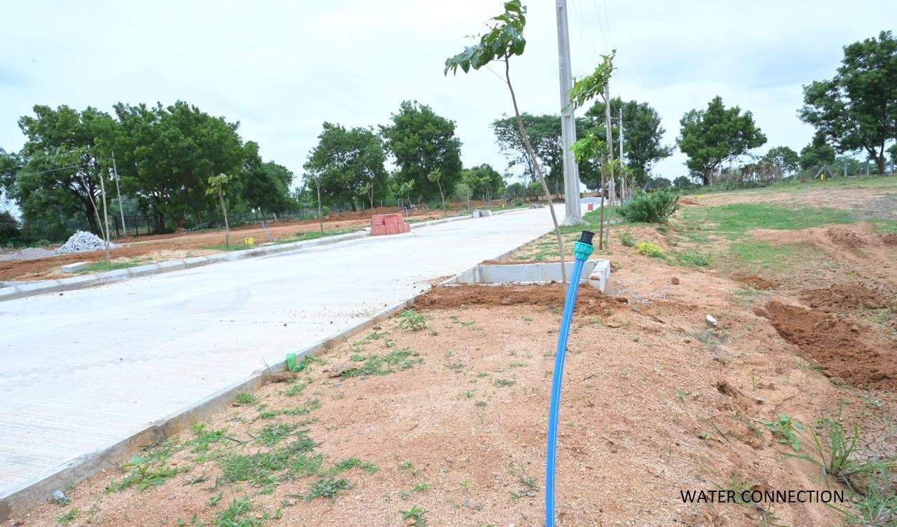  global city rrr Others