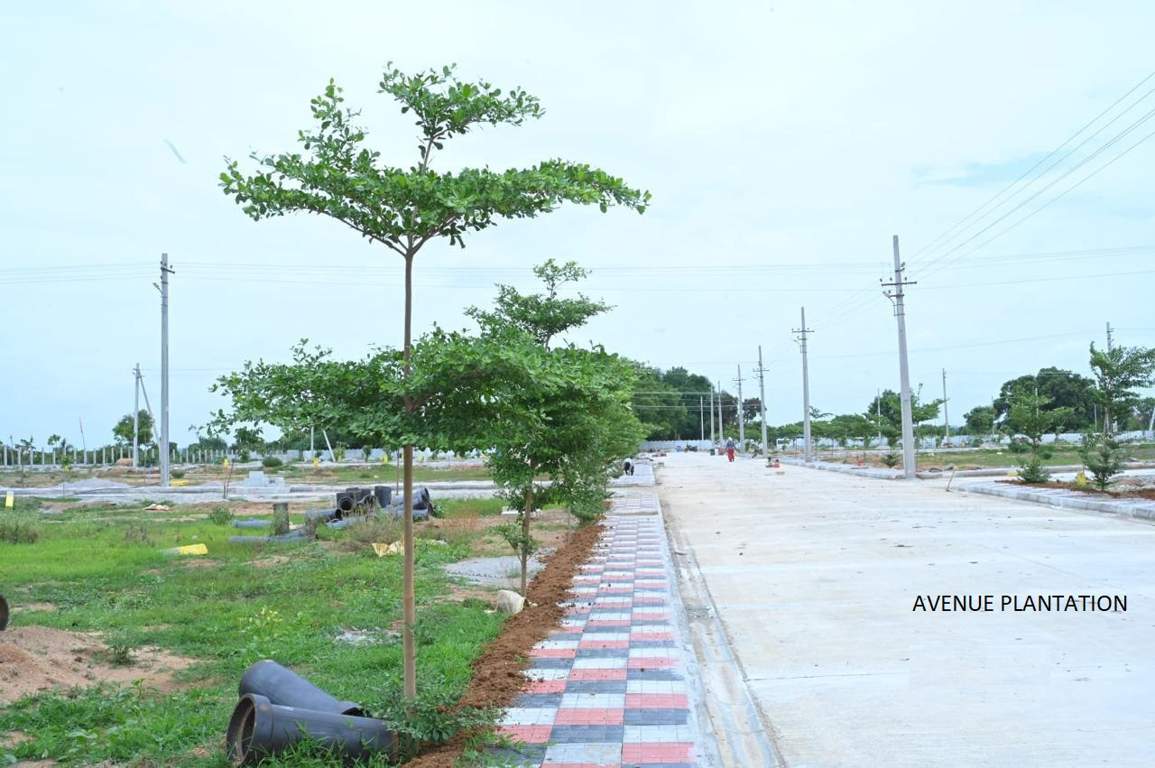  global city rrr Others