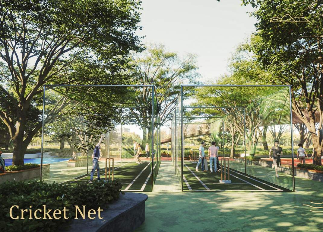  triumph villas Cricket Pitch