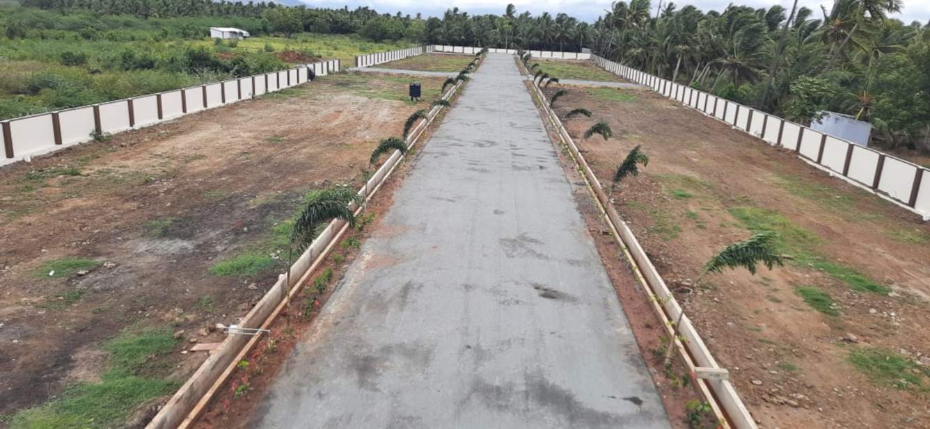  gardens Internal Roads