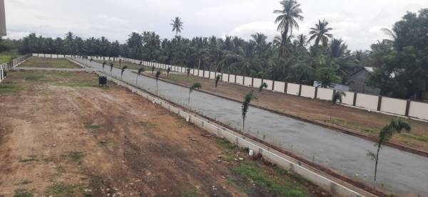 Internal Roads gardens Internal Roads